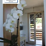 The View *