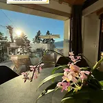 The View Apartament Torri Del Benaco
