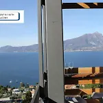 The View