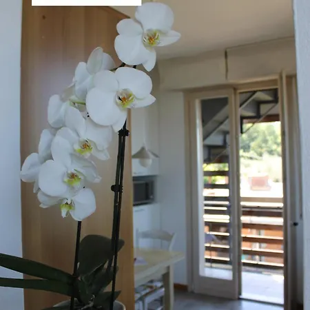The View Apartment *