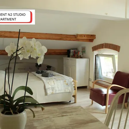 The View *